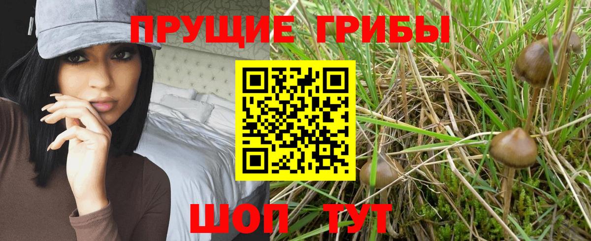 Псилоцибиновые грибы ЛСД  сколько стоит  Апшеронск  Вход с VPN 