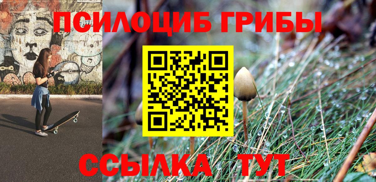Псилоцибиновые грибы мухоморы Апшеронск